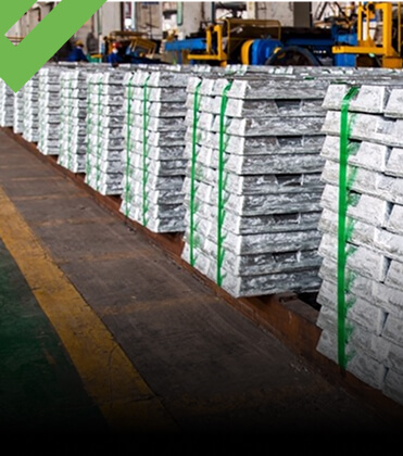 Zinc<br> Derivatives